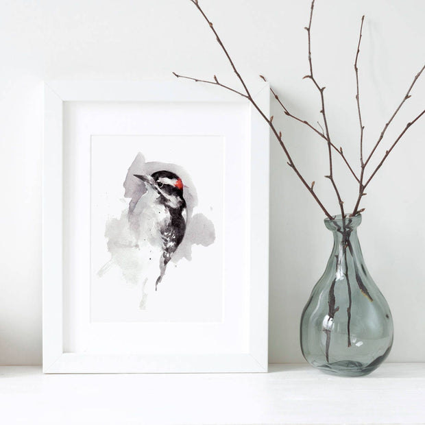 Downy Woodpecker Print