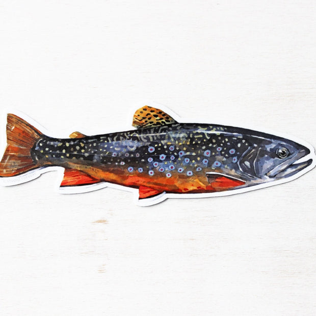 Brook Trout Sticker