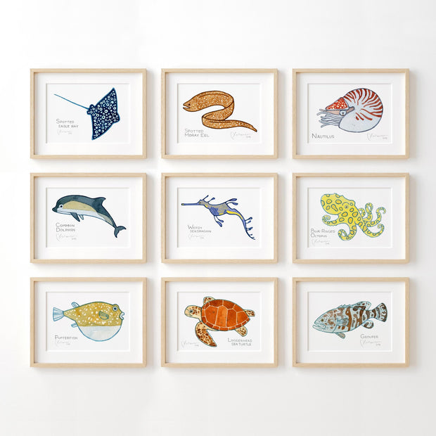 Sea Creature Choose Your Own Print Set