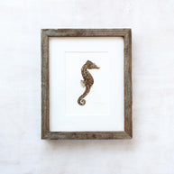 Lined Seahorse Framed Original Watercolor Painting