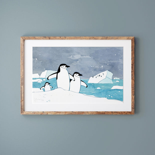 Chinstrap Penguins Print