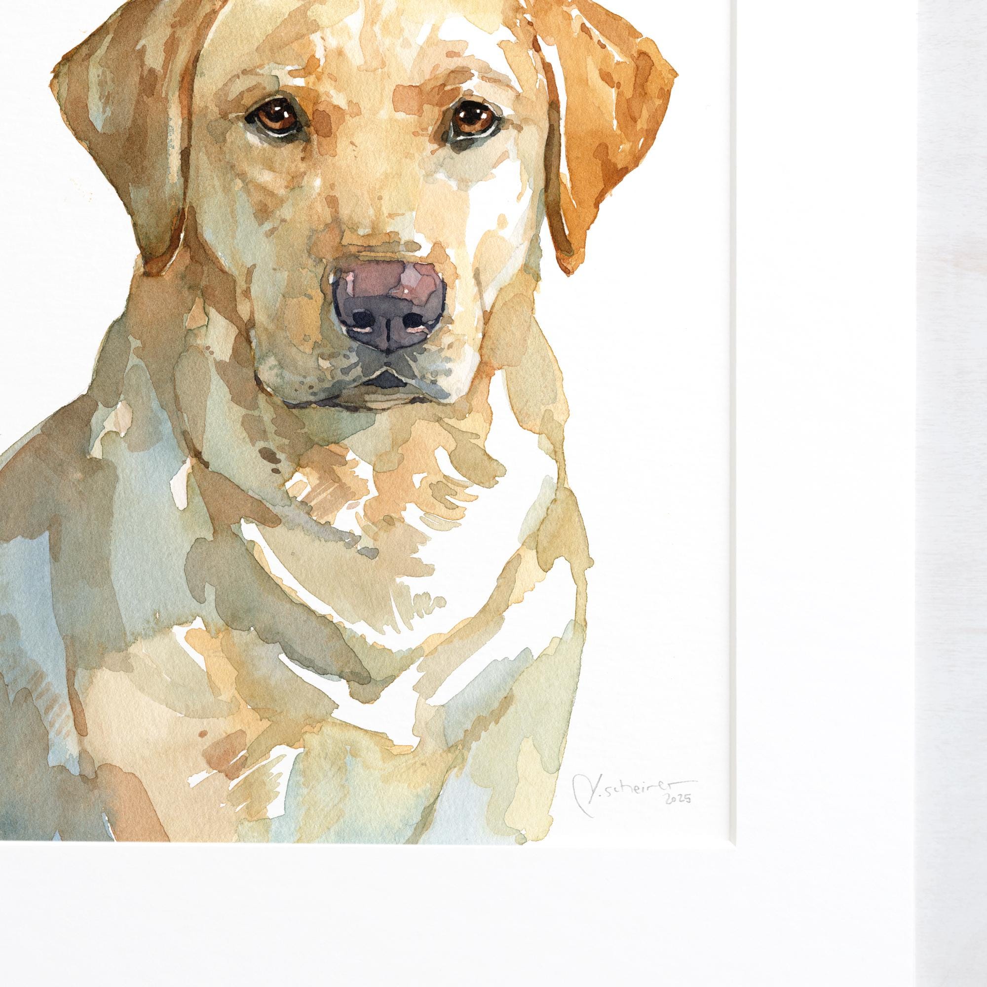 Yellow Lab Dog Print
