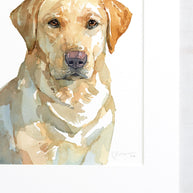 Yellow Lab Dog Print