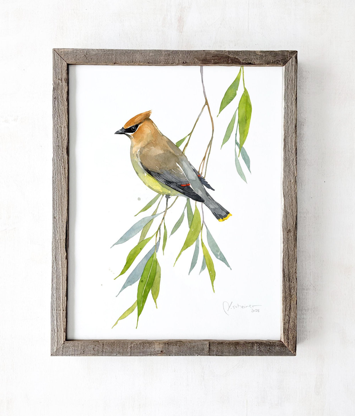Cedar Waxwing Watercolor Print