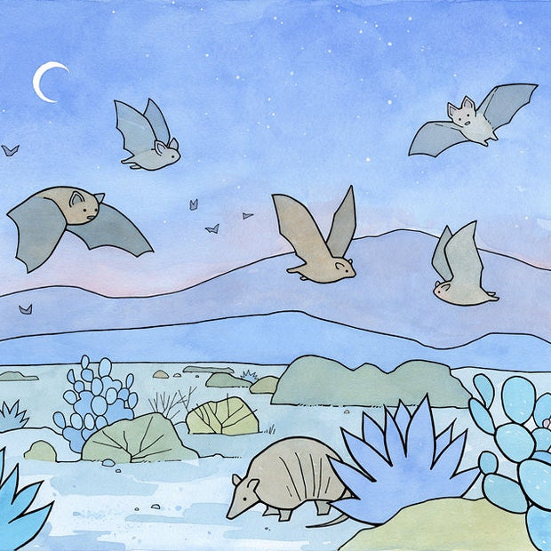 Bats and Armadillo Southwest Desert Print