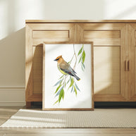 Cedar Waxwing Watercolor Print