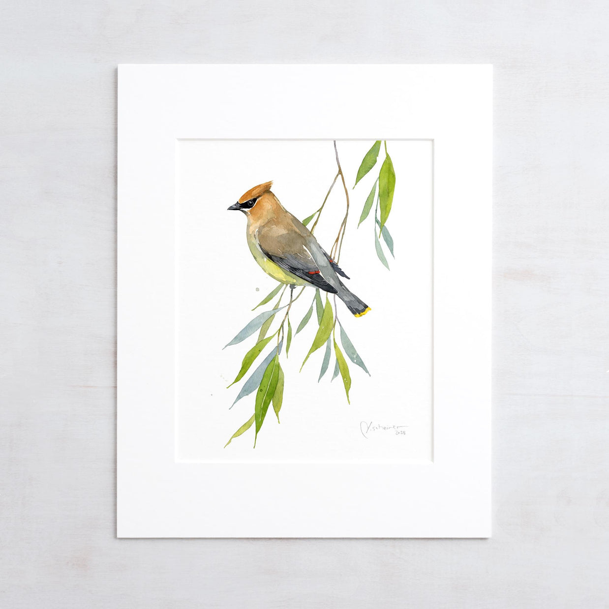 Cedar Waxwing Watercolor Print