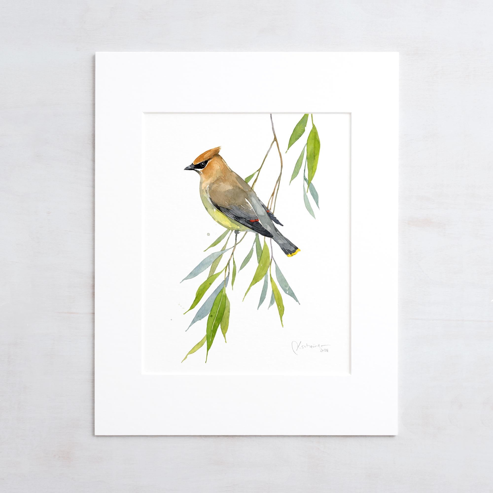 Cedar Waxwing Watercolor Print