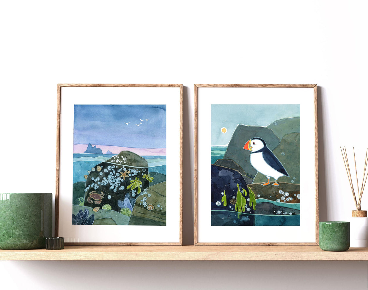 Coastal Puffin Print