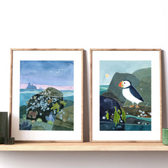 Coastal Puffin Print