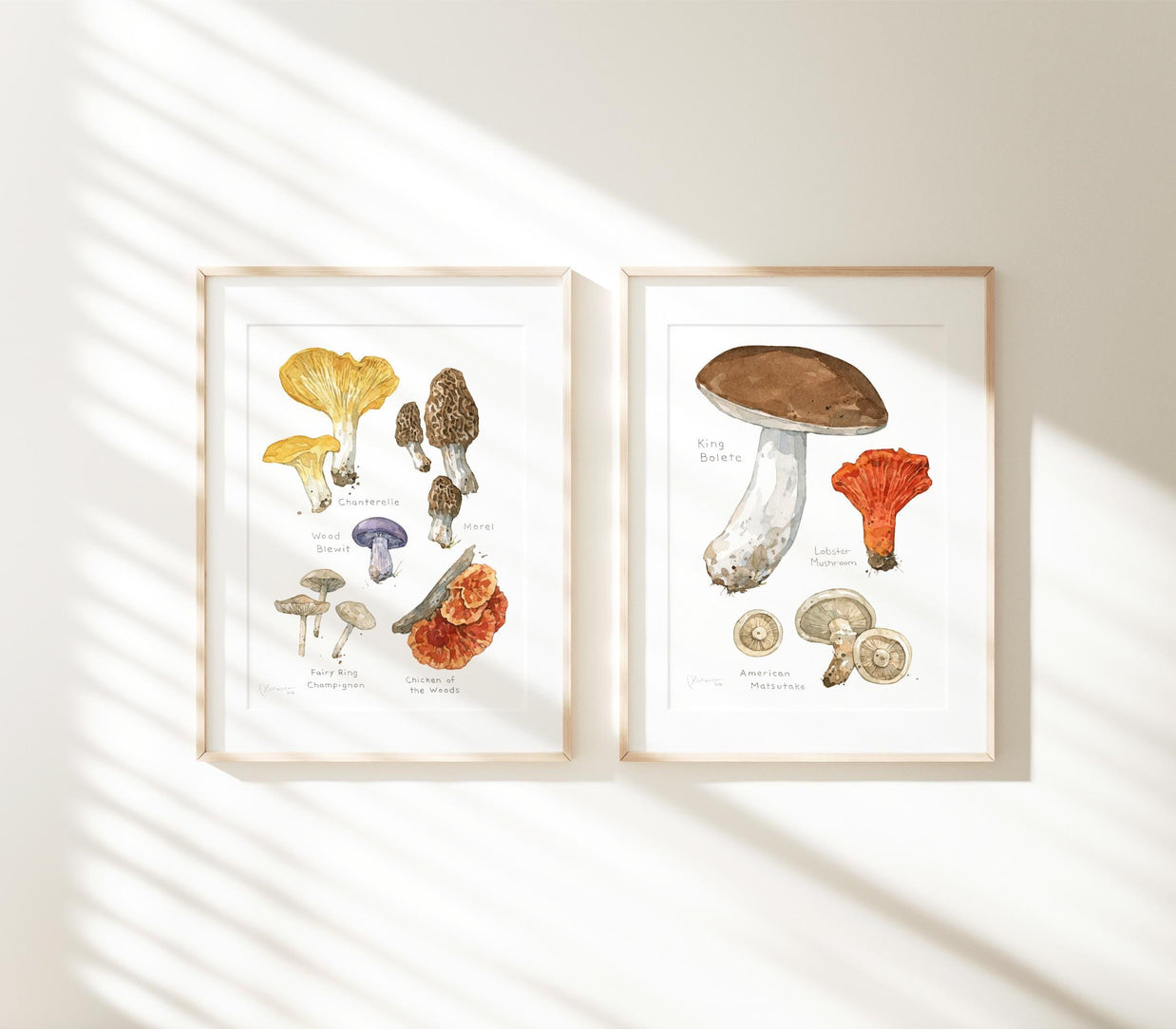 Forageable Mushrooms Set of 2 Prints