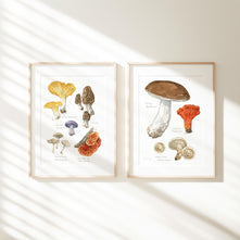 Forageable Mushrooms Set of 2 Prints
