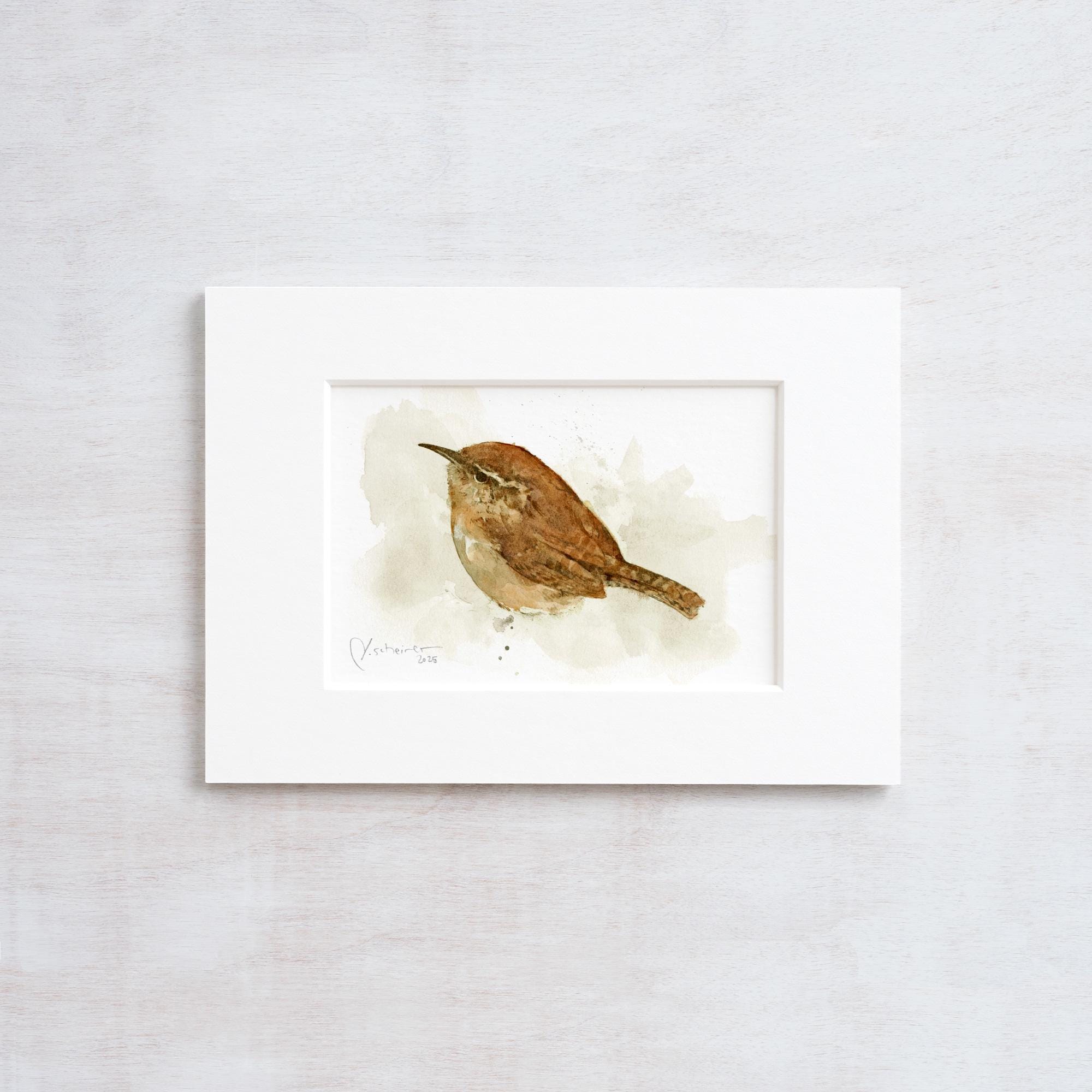 Carolina Wren Print