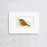 Carolina Wren Print