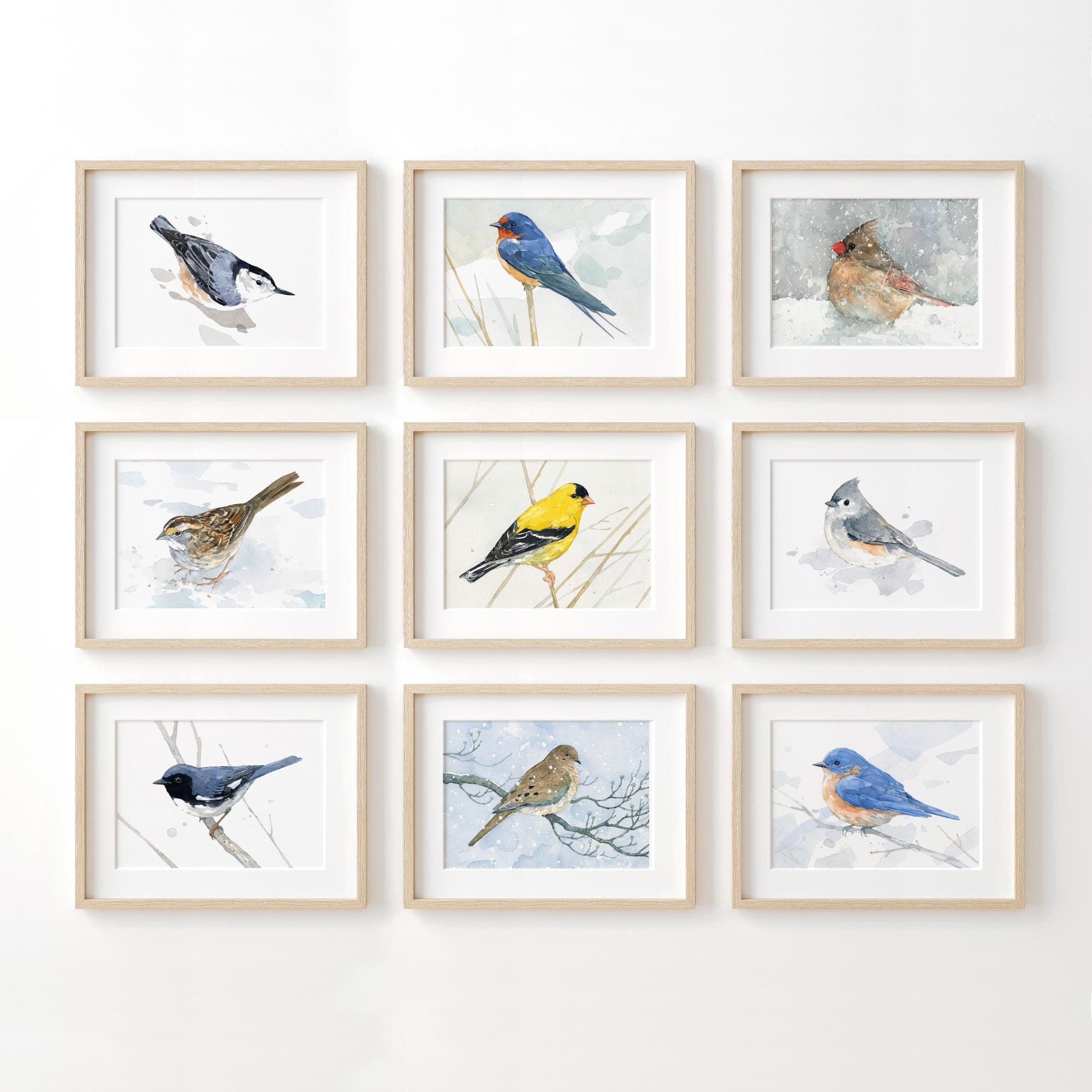 White-Throated Sparrow Print