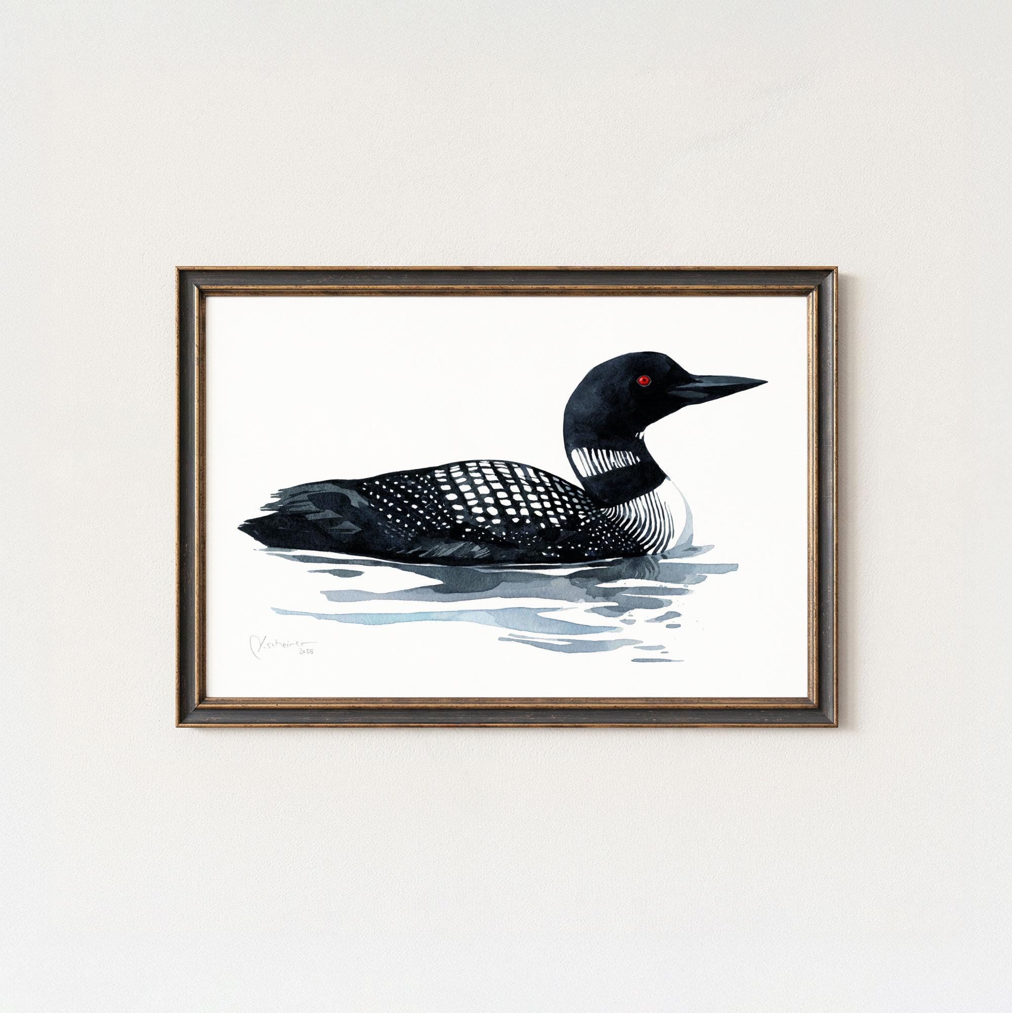 Loon Art Print