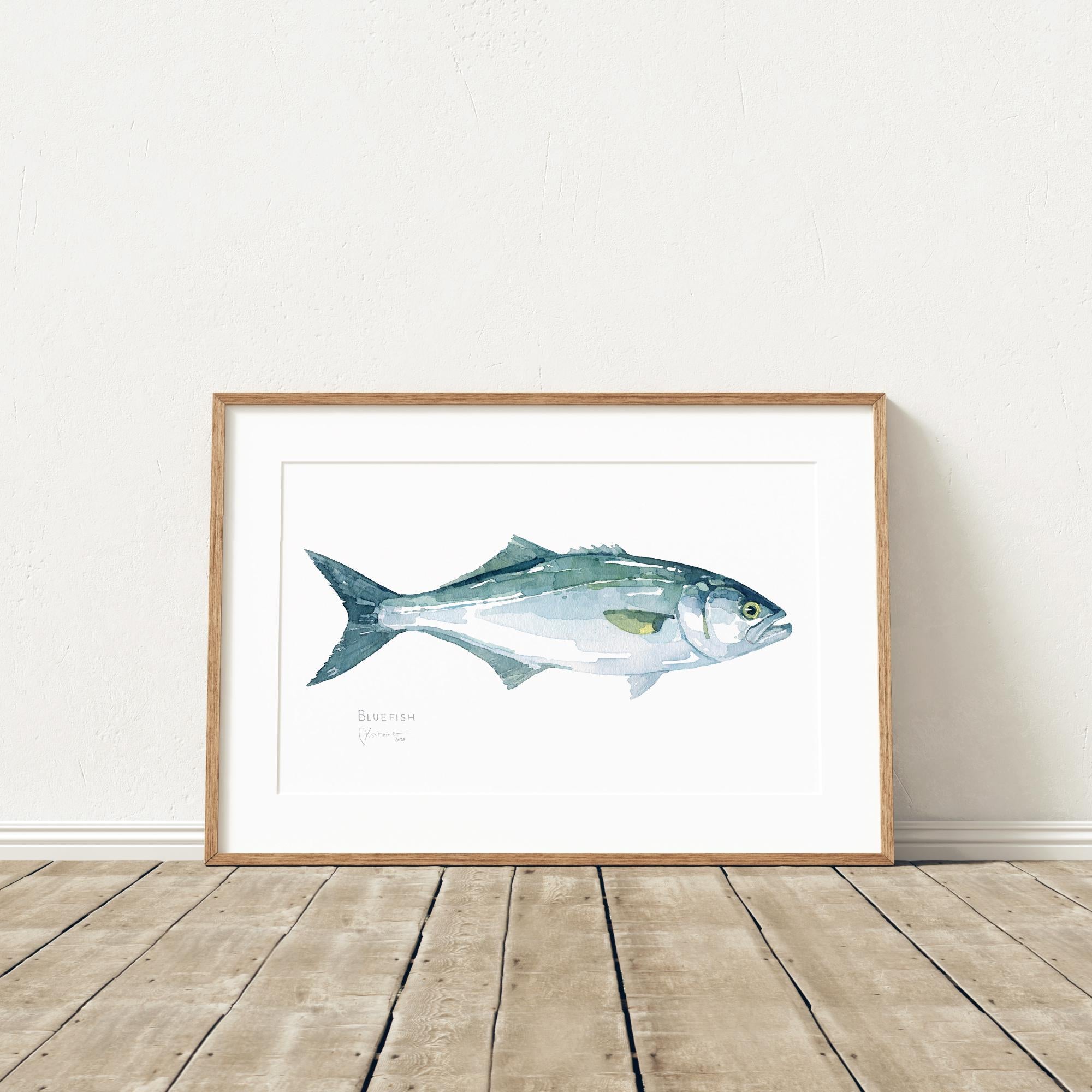 Bluefish Print