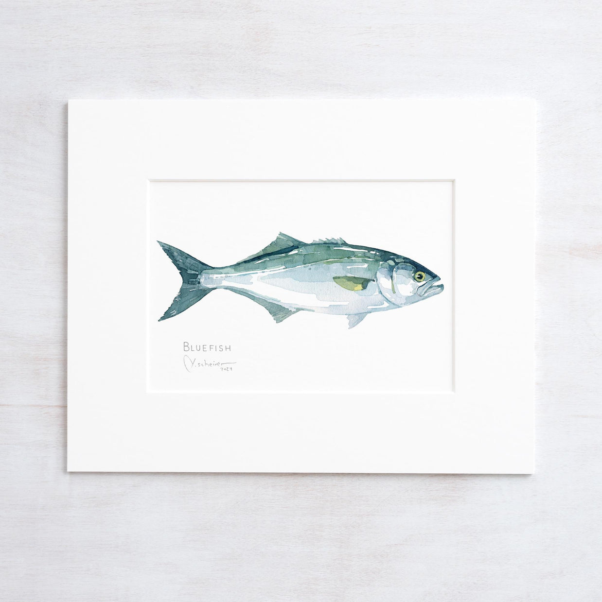 Bluefish Print