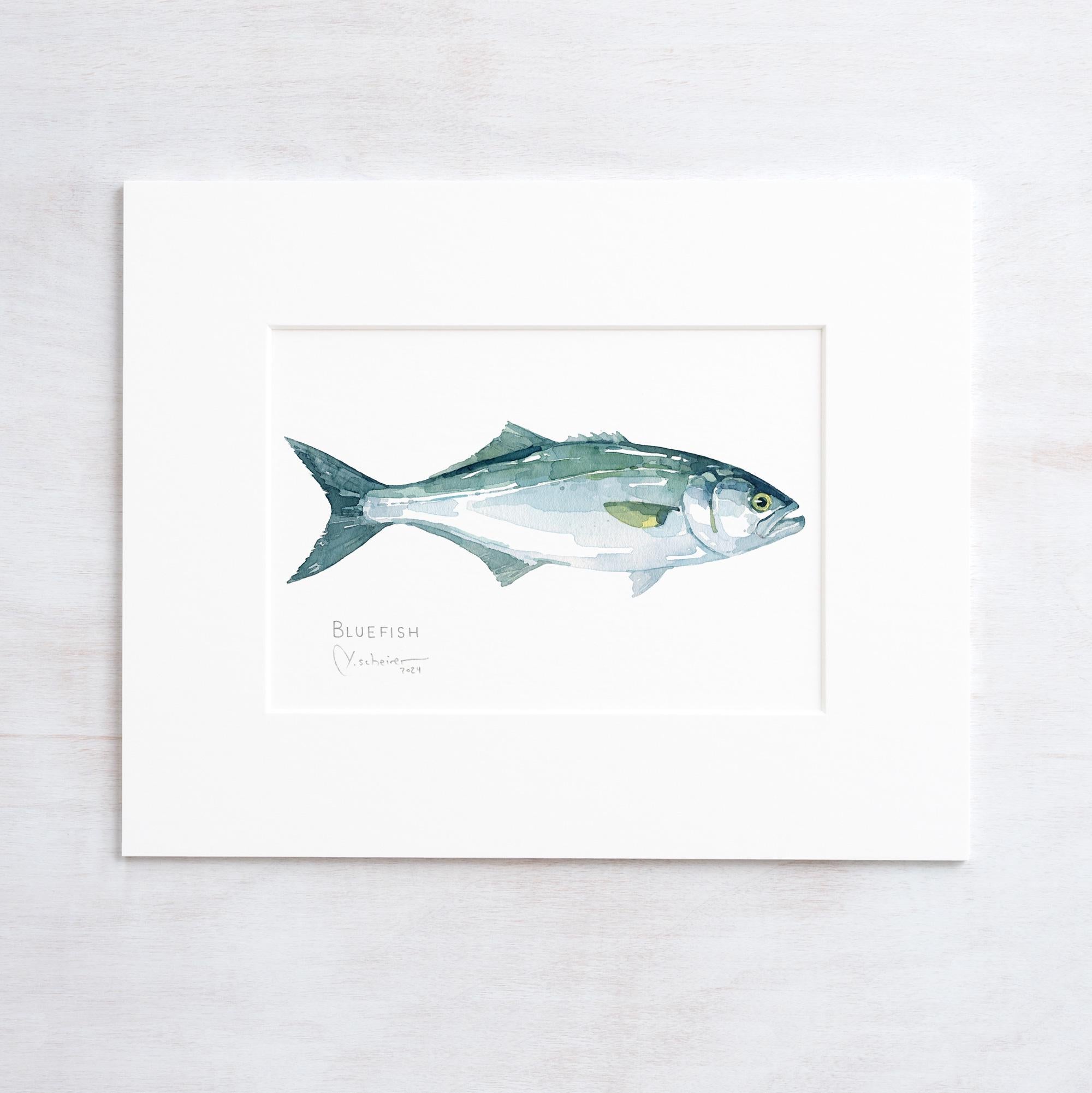 Bluefish Print