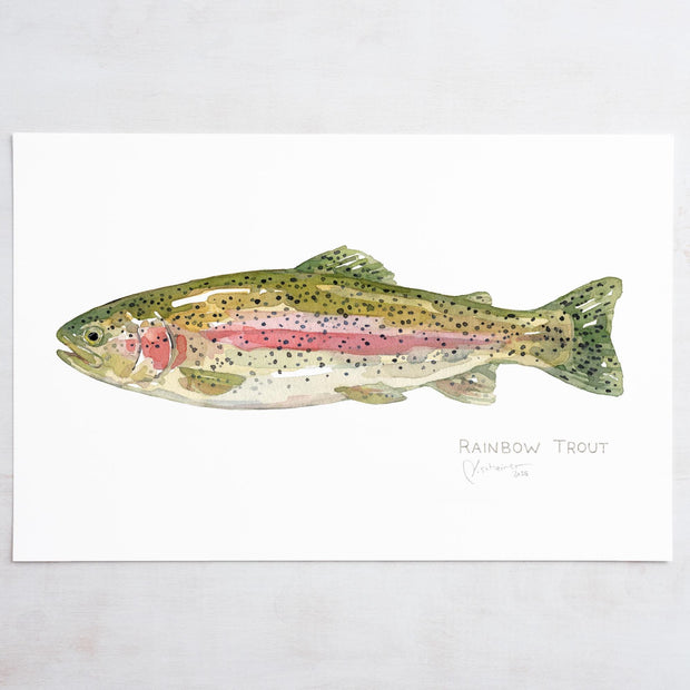 Rainbow Trout Print