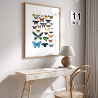 Butterflies Chart Print