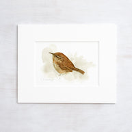 Carolina Wren Print