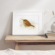 Carolina Wren Print