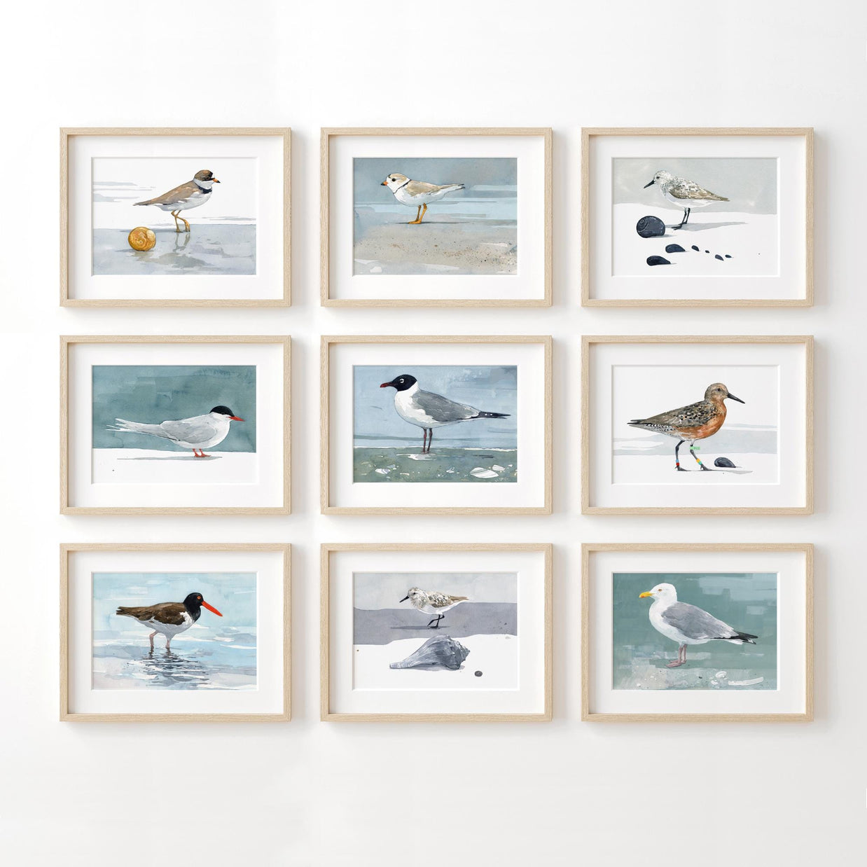 Laughing Gull Beach Print