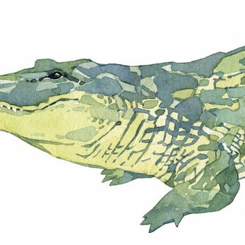 Alligator Print