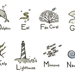 Ocean Alphabet Illustrated Print