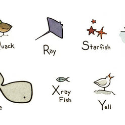 Ocean Alphabet Illustrated Print