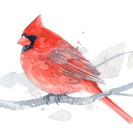 Red Cardinal Print