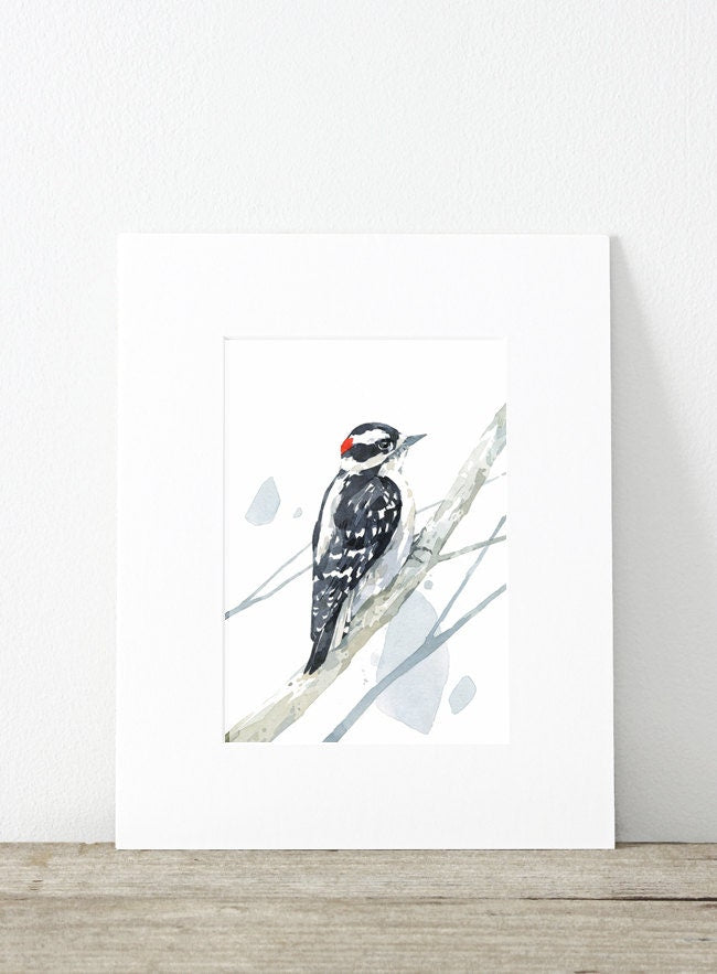 Downy Woodpecker Print