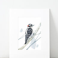 Downy Woodpecker Print
