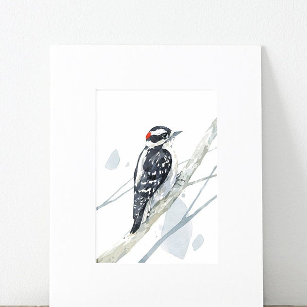 Downy Woodpecker Print