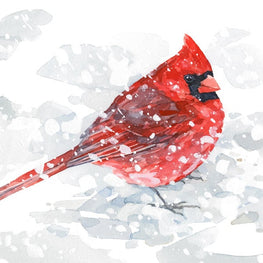 Red Cardinal in Snow Print