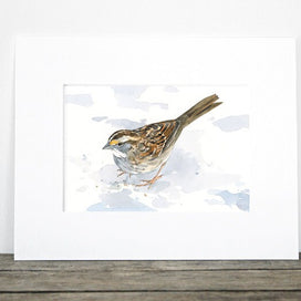 White-Throated Sparrow Print