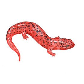 Red Salamander Print