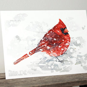 Winter Bird Holiday Card Set I