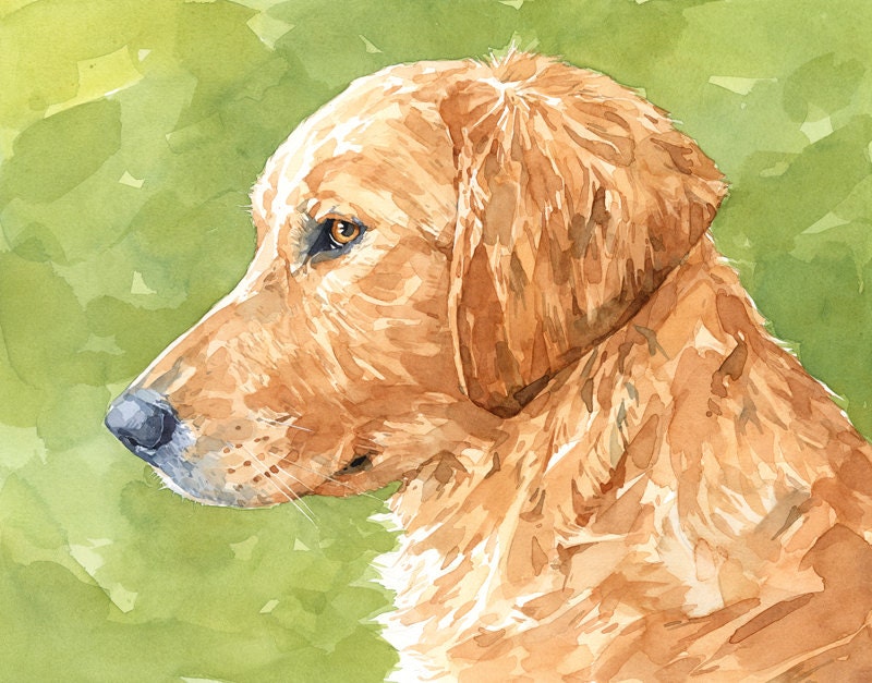 Golden Retriever Watercolor Portrait Print - Limited Edition Dog Art