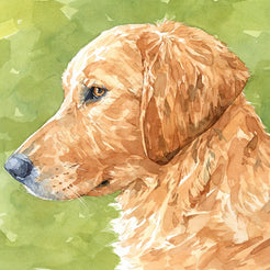 Golden Retriever Watercolor Portrait Print - Limited Edition Dog Art