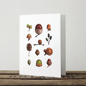Acorns Watercolor Notecard Set