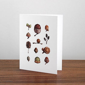 Acorns Watercolor Notecard Set