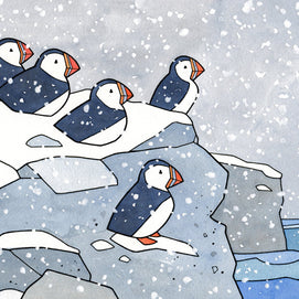 Puffins in Snow Card Set