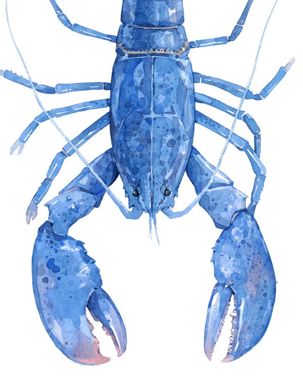 Blue Lobster Print