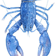 Blue Lobster Print