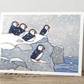 Animal Mixed Card Set II