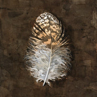 Owl Feather Print