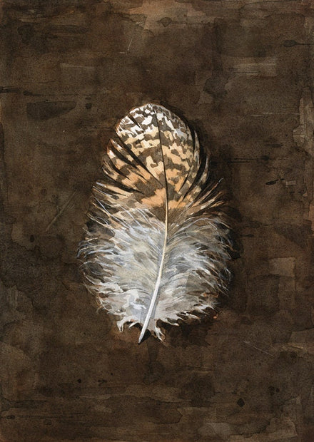 Owl Feather Print