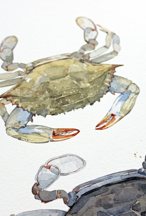 Blue Crab Teir Print